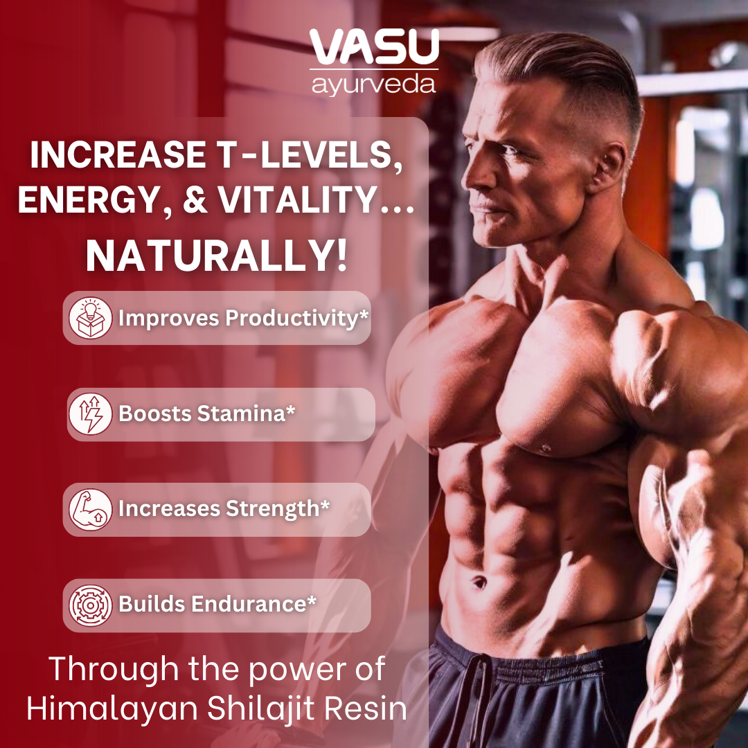 Vasu Ayurveda Himalayan Shilajit