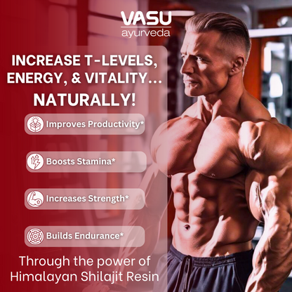 Vasu Ayurveda Himalayan Shilajit