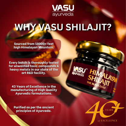 Vasu Ayurveda Himalayan Shilajit